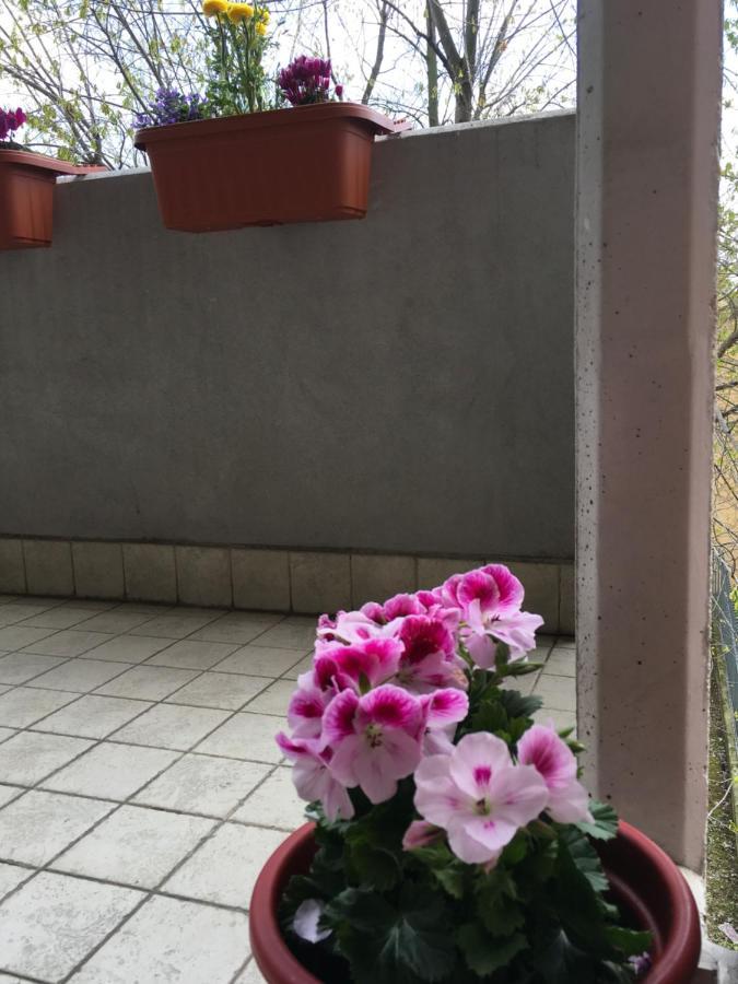 Appartement Con Due Da Letto E Free Park